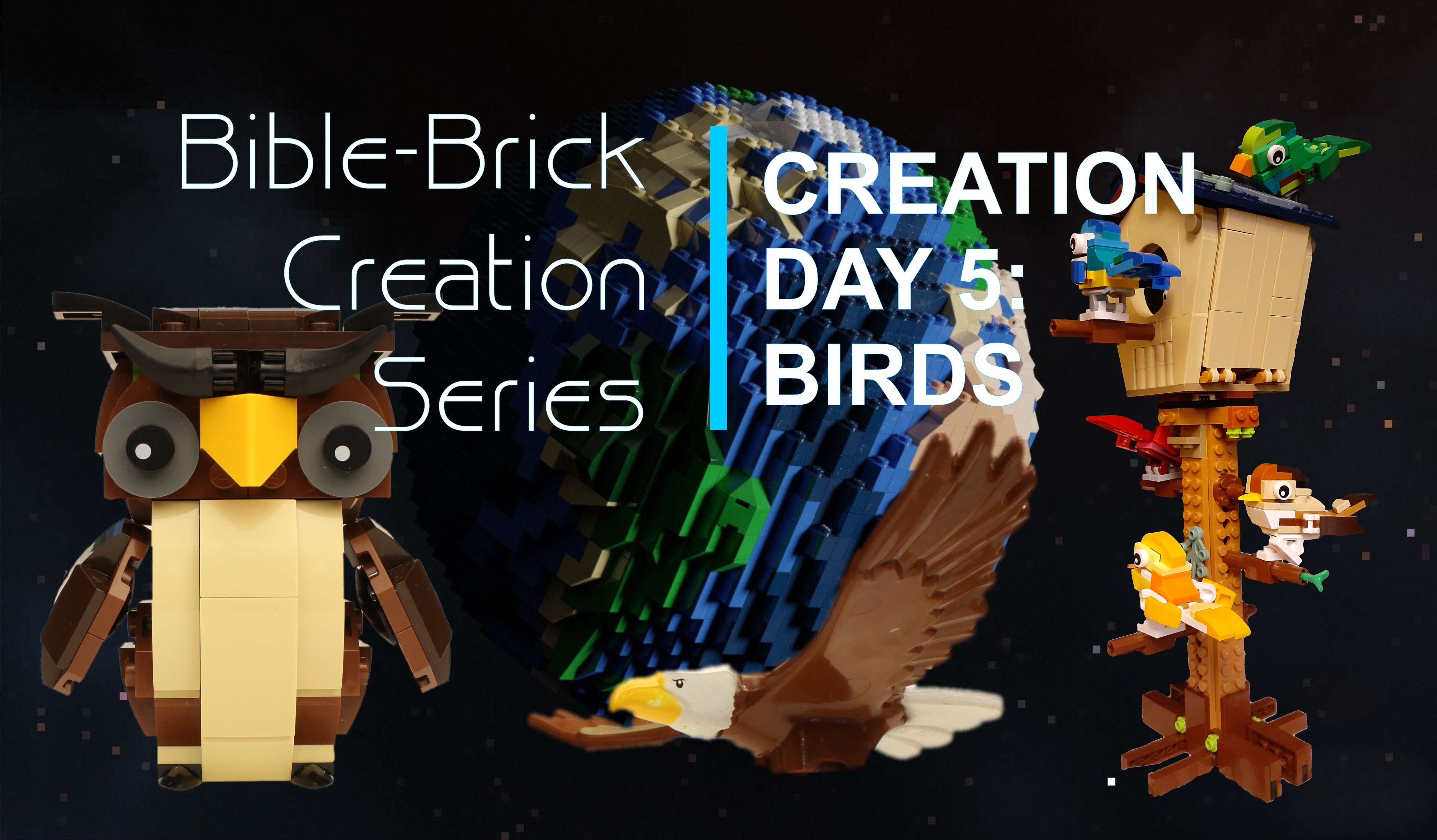 Creation #20 Day 5 Birds